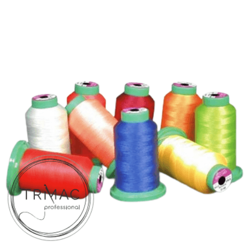 b79 macchina per cucire e ricamare professionale